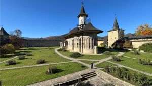 Bucovina, "plai cu flori” - văzută din Forest Coaster